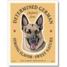 Dog German Shepherd - Determined German